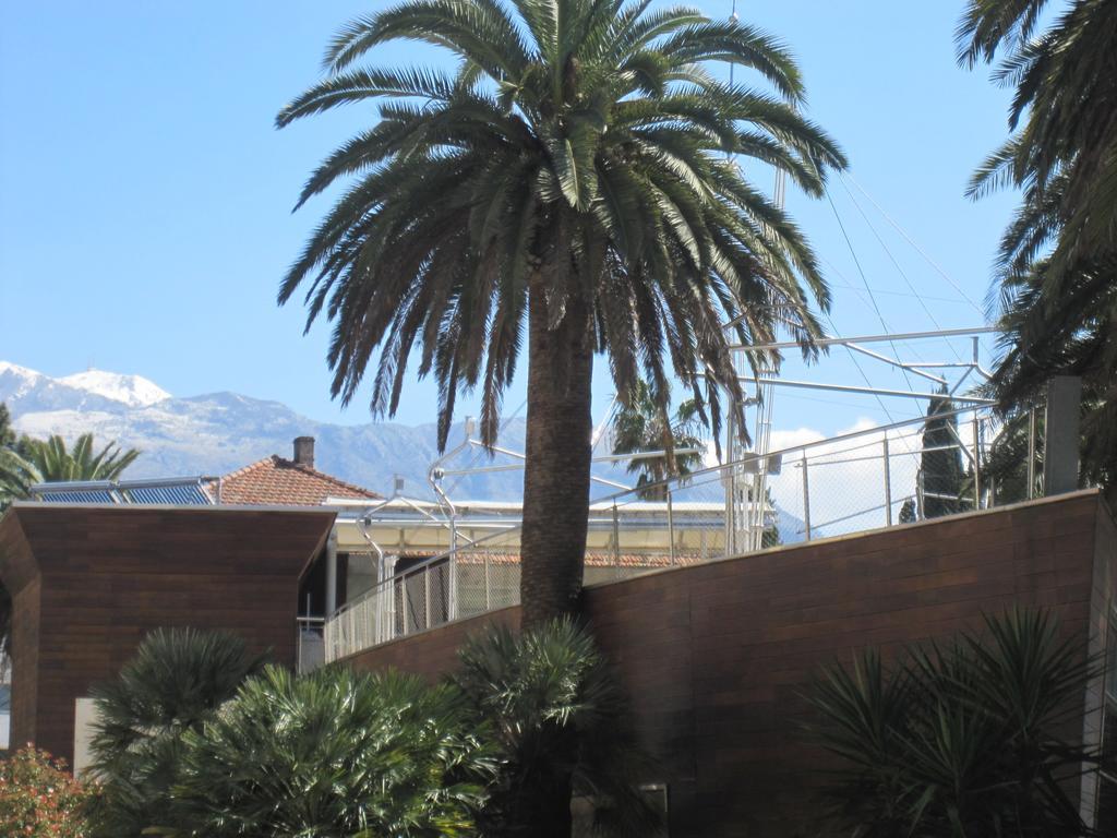 Apartments City Center Tivat Exteriör bild